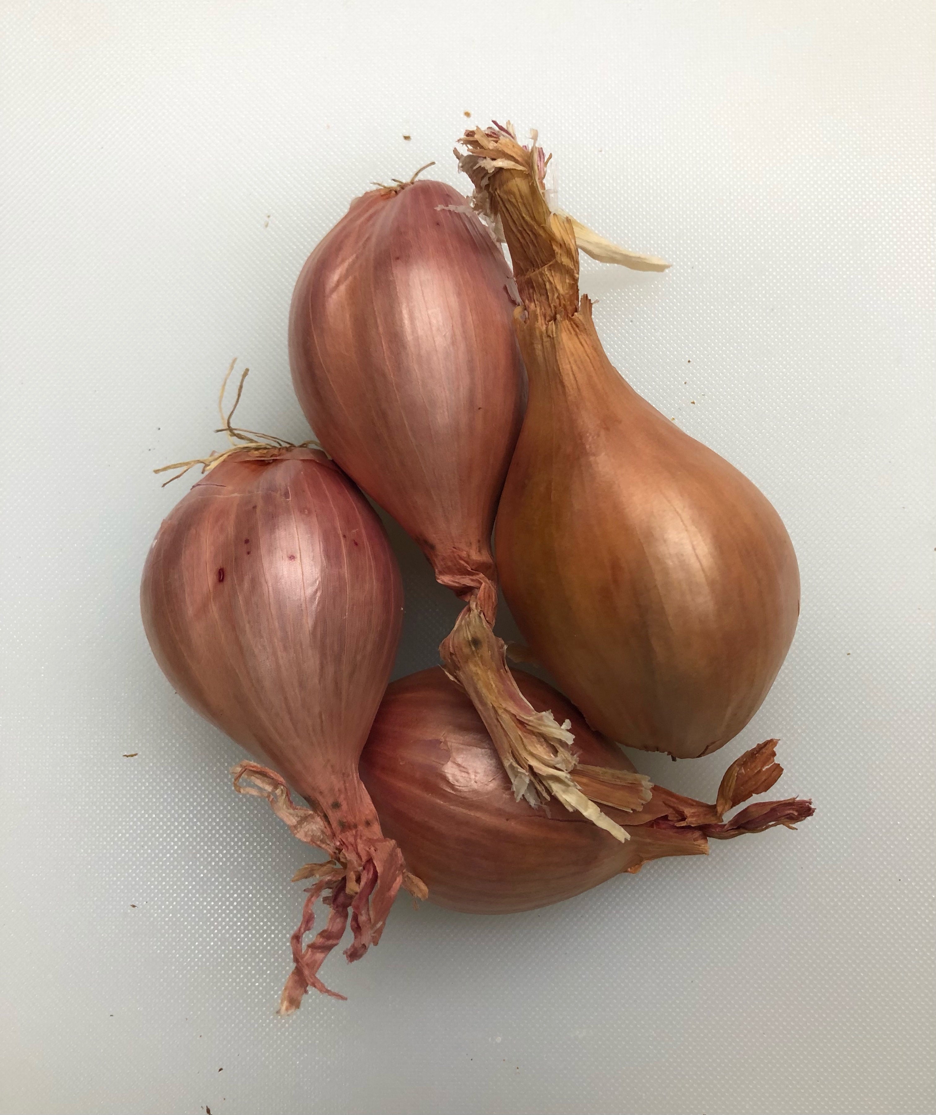  Shallots, 1 Pound, Freshly Harvested, Large to Medium Size,  Restaurant Qulaity, Great for cooking with a succulent flavor, a gourmet  delight.The amount of shallots depends on size & weight shallot. 
